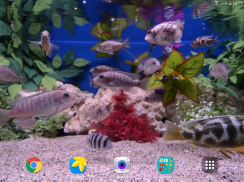 水族馆4K视频动态壁纸 screenshot 7