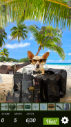 Hidden Object - Travelling Pets screenshot 4