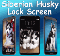 Siberian Husky Lock Screen screenshot 2