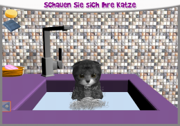 KittyZ Cat - Virtual Pet to take care and play screenshot 9