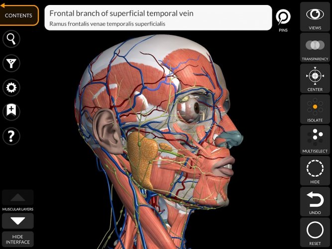 Anatomy 3D Atlas - APK Download for Android | Aptoide