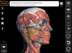 Anatomia - Atlas 3D screenshot 10