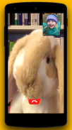 Call Easter Bunny screenshot 2