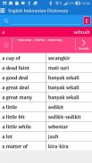 English Indonesian Dictionary screenshot 3