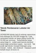 freshwater lobster cultivation screenshot 2