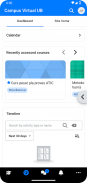 UB Campus Virtual screenshot 5