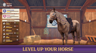 Star Equestrian - Horse Ranch screenshot 9