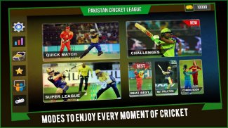 باكستان الكريكيت دوري 2020: العب الكريكيت الحية screenshot 0