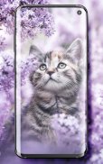 Cute Cats Live Wallpaper screenshot 5