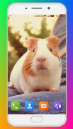 Guinea Pig Wallpaper screenshot 6