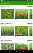 Paddy Varieties screenshot 8