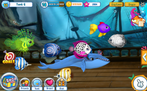 Fish Adventure Seasons screenshot 1