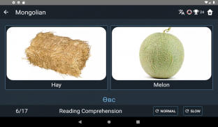 Mongolian Language Tests screenshot 8