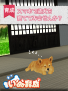 Shibainu Simulation Game 3D screenshot 1