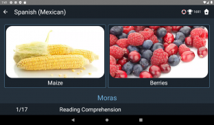 Mexican Spanish Language Tests screenshot 2