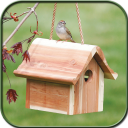 Bird House Ideas