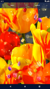 Tulip Spring 4K Wallpapers screenshot 0
