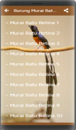 Kicau Burung Murai Batu screenshot 0