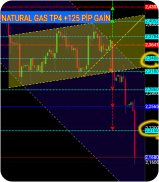 Daily Forex Analysis screenshot 5