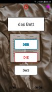 Der Die Das - German Articles screenshot 3