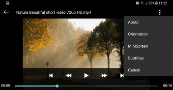 Video Player - Media Player screenshot 0