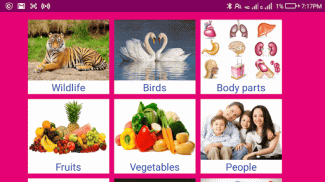 Learn English From Punjabi screenshot 12