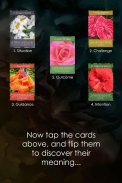 Floramations Oracle Cards screenshot 3