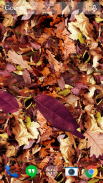 Autumn leaves 3D LWP screenshot 6