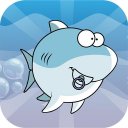 Color Shark : Ceylin-H