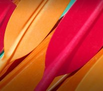 HD Wallpaper for Motorola screenshot 1