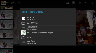 Gallery Cast - Free screenshot 1