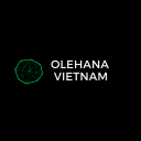 Olehana Vietnam Icon