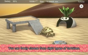 Tortoise to grow relaxedly screenshot 4