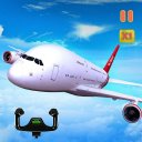 Airplane flight simulator