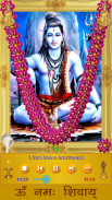 Shiva Amritwani screenshot 0
