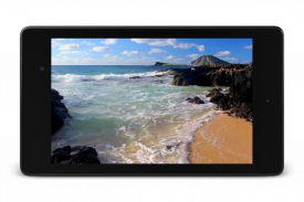 Relax Video Live Wallpaper screenshot 11