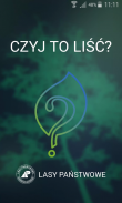 Czyj to liść? screenshot 1