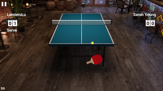 虚拟乒乓球 screenshot 15