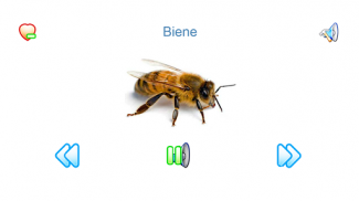 Tierwelt Geräusche Klingeltöne screenshot 9