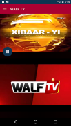WALF TV - CHROMECAST screenshot 0