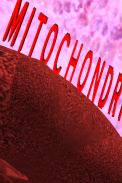 Human Cell 3D screenshot 2