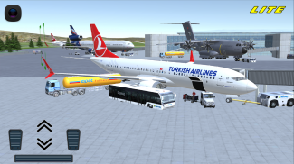 Flight 737 - MAXIMUM LITE screenshot 3