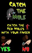 Catch the Mole screenshot 2