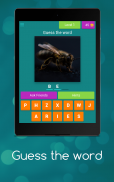 PicWordy screenshot 10