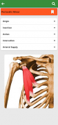 Orthopedic Anatomy screenshot 3