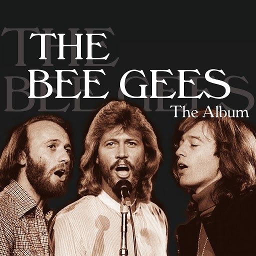 Download do APK de BEE GEES Músicas Letras para Android