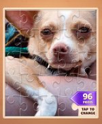 Tap Tap Jigsaw Puzzles: Free HD image puzzles screenshot 4