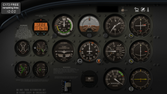 FSi C172 FREE screenshot 5