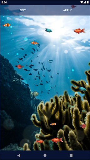 underwater fish live wallpaper