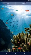 Ocean Fish Live Wallpaper 4K screenshot 7